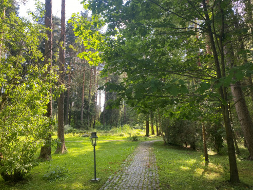 КП Лира