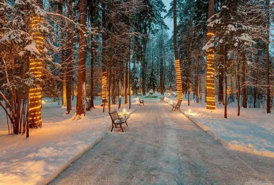 РАНИС