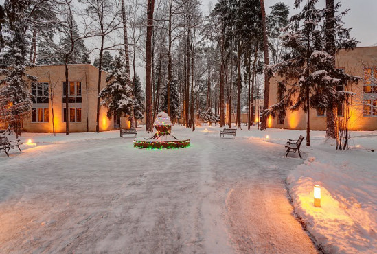 РАНИС