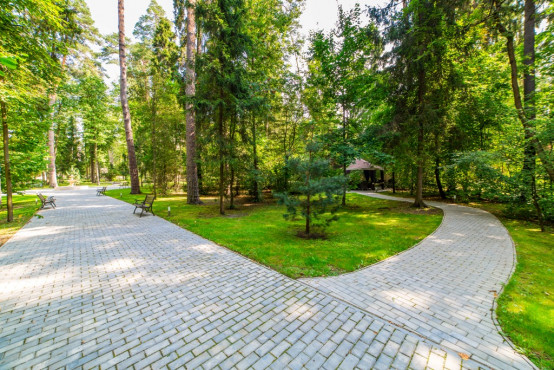 РАНИС