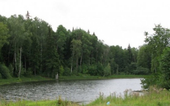 Природный парк Каменка