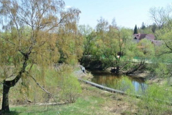 Усадьба Бергов