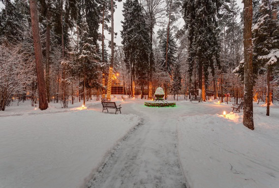 РАНИС