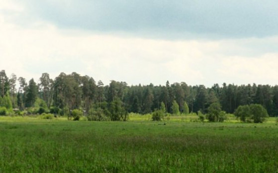 КП Костино