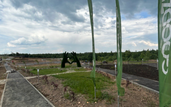Грин Лаундж